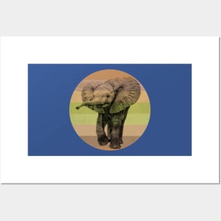 Cute Baby Elephant on Retro-style Sunset in Africa Colors Posters and Art